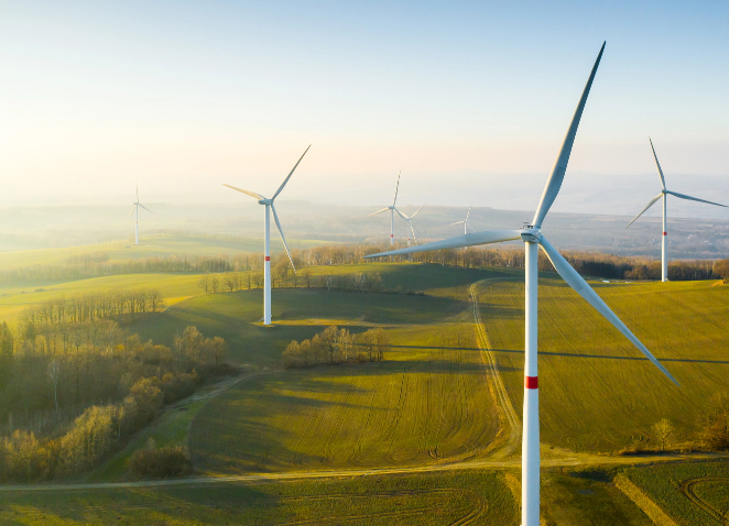 Wind turbines in sunny field